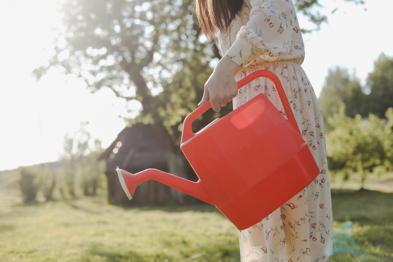 A woman in a floral dress holding a bright red watering can in a sunny garden.