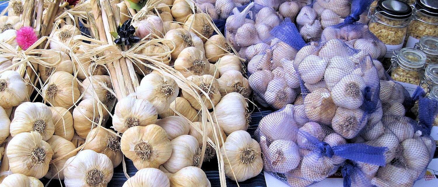 Bundles and netted bags of clean garlic bulbs displayed at a market stall.