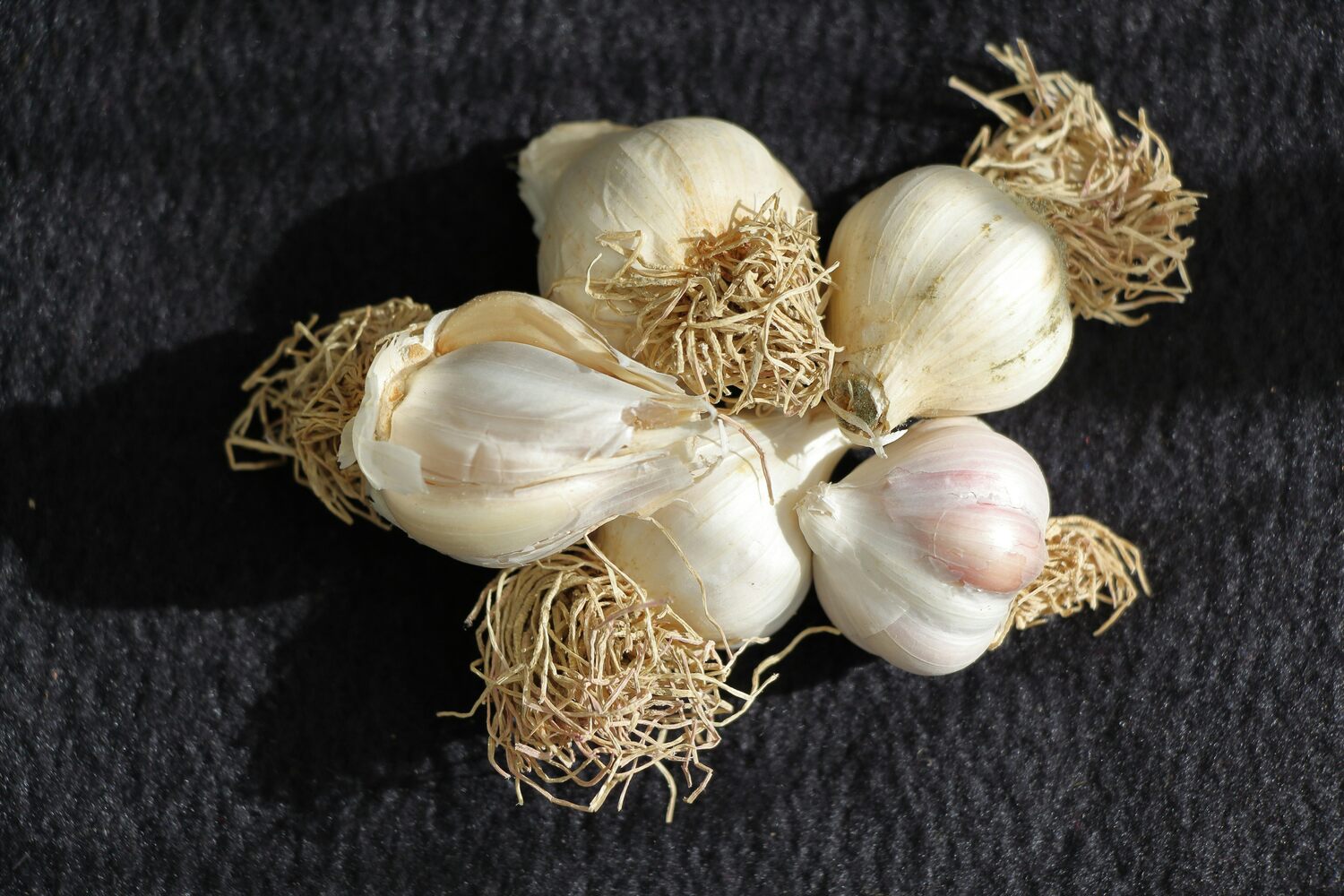 A close-up of garlic bulbs with papery skins and roots.