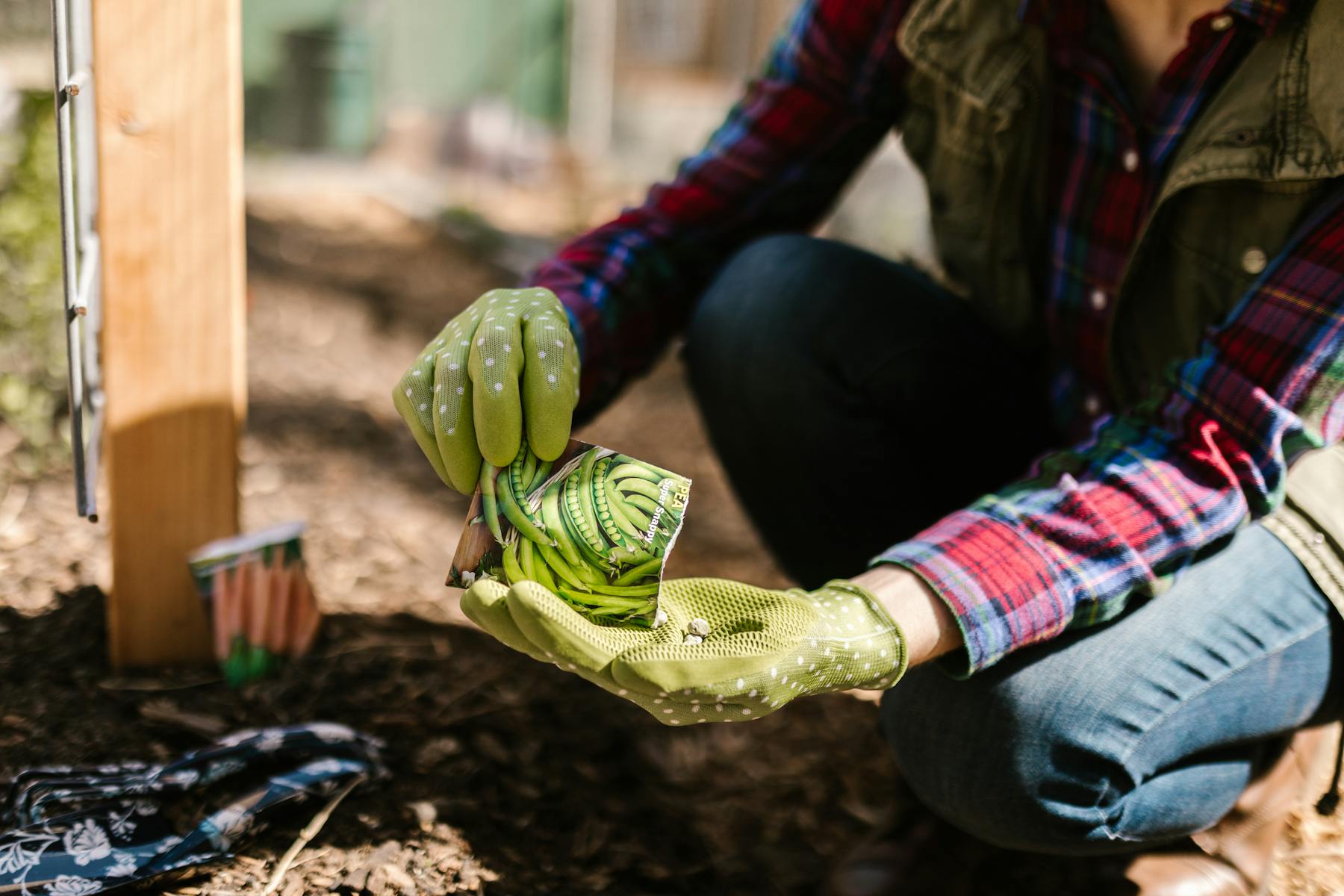 Beginner’s Guide to Saving Seeds: How to Harvest, Dry, and Store Homegrown Seeds