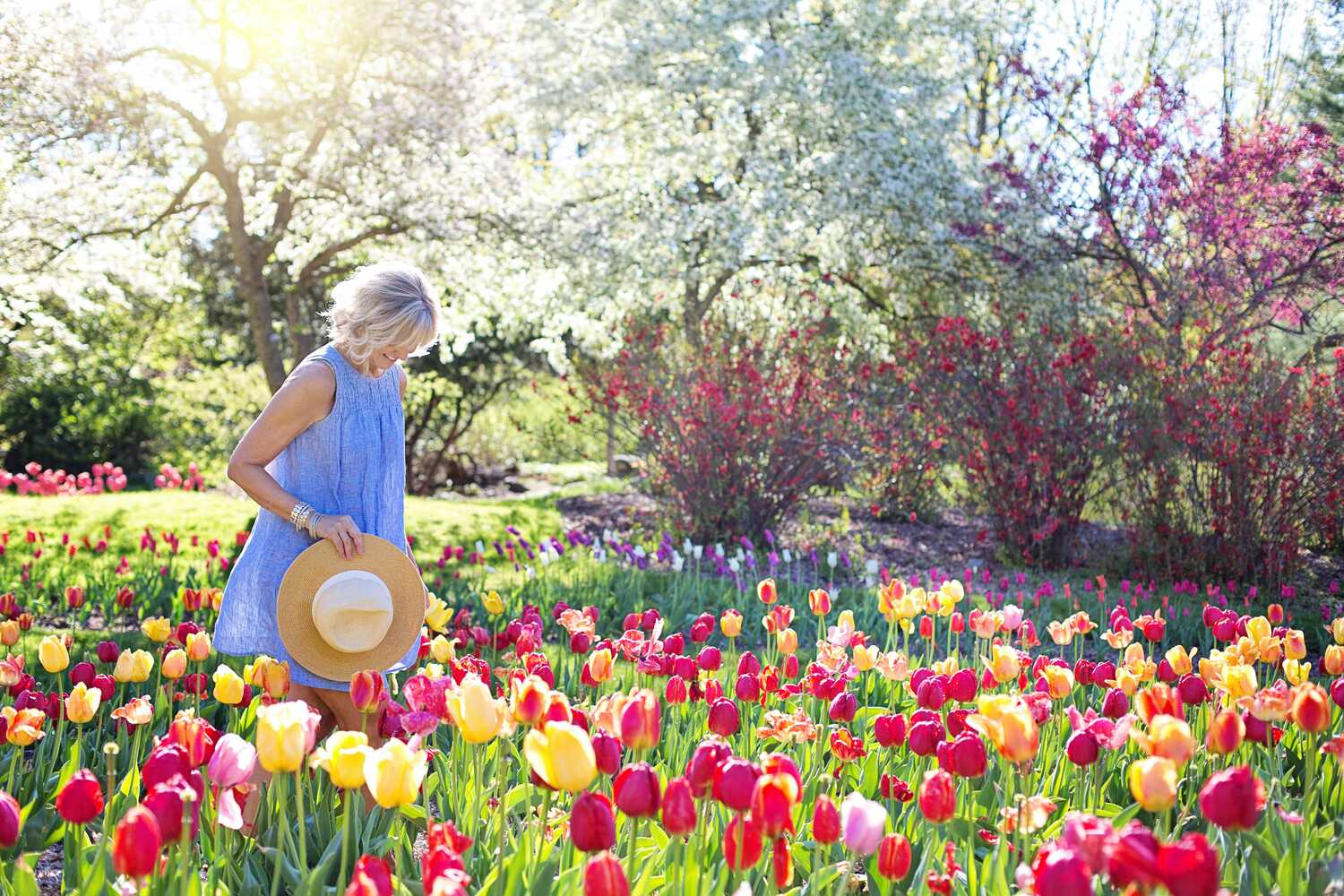 A woman in a blue dress holding a hat while walking through a colorful tulip field.