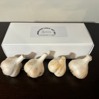Thumbnail for Heirloom Garlic Gift Box - 4 bulbs (1/2 pound of garlic)