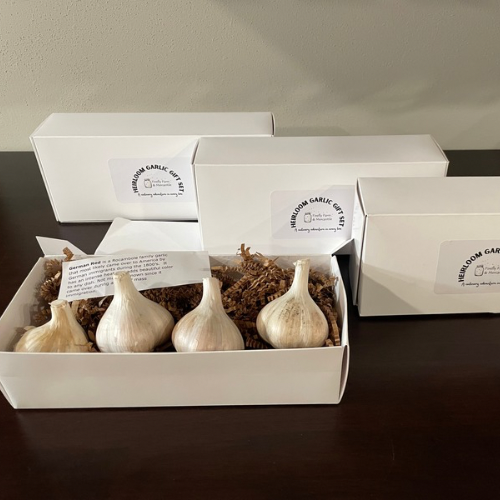 Heirloom Garlic Gift Box - 4 bulbs (1/2 pound of garlic)