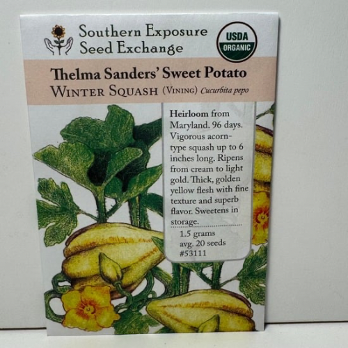 Thelma Sanders Squash, Heirloom, Organic