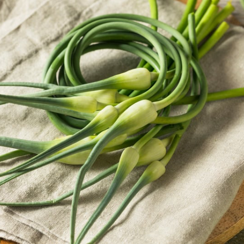 Garlic Scapes