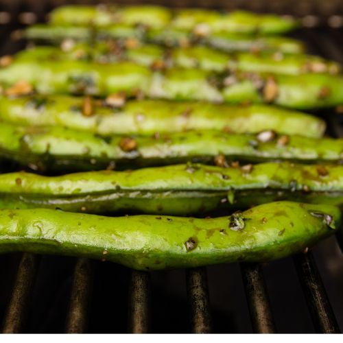 Broad Windsor Fava Bean, 1863 Heirloom, Both Organic & Conventional Available