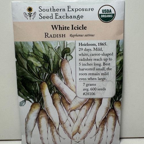 White Icicle Radish, Organic