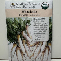 Thumbnail for White Icicle Radish, Organic