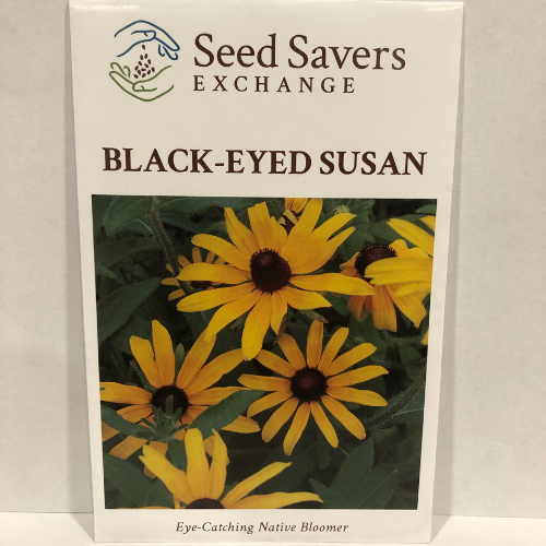Black-Eyed Susan - Prairie Native (Rudebckia Hirta)