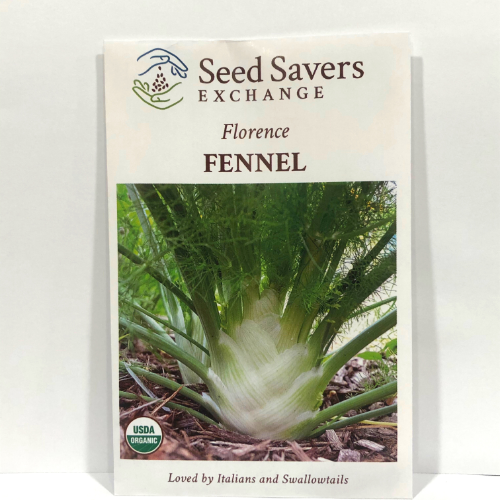 Florence Fennel, Organic