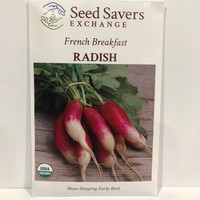 Thumbnail for French Breakfast Radish, 1870 Heirloom, Organic