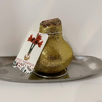 Thumbnail for No Fuss, No Mess, Amaryllis (From our Waxz Collection)