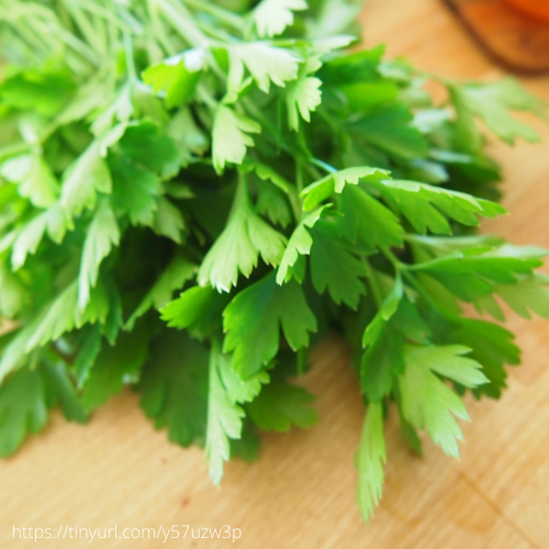 Italian Flat Parsley, Organic, Heirloom