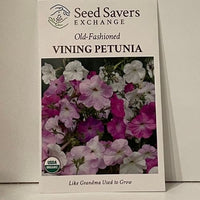 Thumbnail for Old-Fashioned Vining Petunia Flower, 1800's Heirloom, Organic
