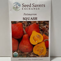 Thumbnail for Organic Potimarron Squash Heirloom Open Pollinated Seeds