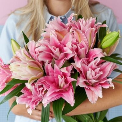 Roselily 'Samantha' (Double Oriental Lily, Lilium)