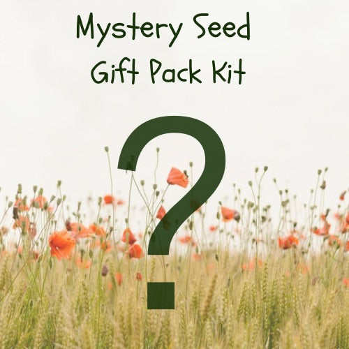 mystery seed subscription  gift pack 