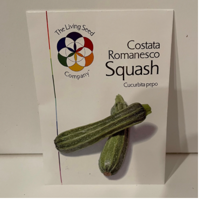 Costata Romanesco Zucchini, 1600's Heirloom