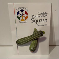 Thumbnail for Costata Romanesco Zucchini, 1600's Heirloom