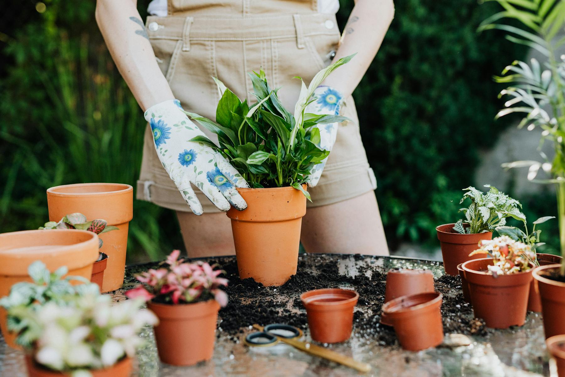 A Simple Guide on How to Prepare Your Garden for Spring