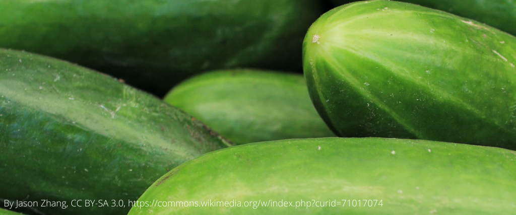 Ferry-Morse Sow Easy Cucumber Slicer Seeds