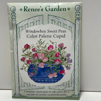Thumbnail for Color Palette Cupid Sweet Pea Seeds, Windowbox Sweet Pea