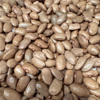 Thumbnail for Fat Goose Pole Bean, Heirloom, John Withee