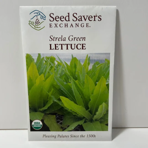 Strela Green Lettuce Seeds, organic