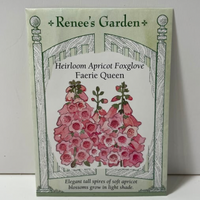 Thumbnail for Faeire Queen Apricot Foxglove Flower Seeds, Heirloom