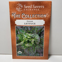Thumbnail for Goose Lettuce Seeds, Organic