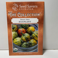 Thumbnail for Sweet Red Eggplant Seeds, Organic (Rare)