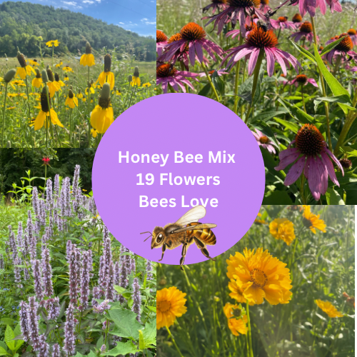Honey Bee Flower Mixture