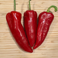 Thumbnail for Anaheim Pepper, 1894 Heirloom, Organic