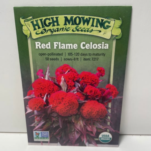 Red Flame Celosia Flower, Organic