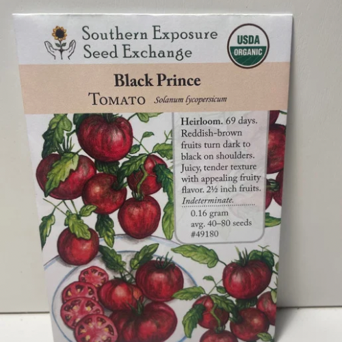 Black Prince Tomato, Heirloom, Organic