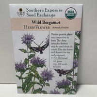 Thumbnail for Wild Bergamont or Bee Balm Seeds, Native to the United States, Organic