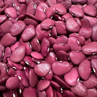 Thumbnail for Burgundy Wine Lima Bean, Butterbean, Heirloom from Dr. Wyche
