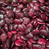 Thumbnail for Clemson Red Lima Bean, Butterbean, 1930's Heirloom