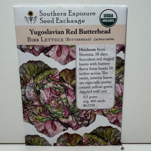 Yugoslavian Red Lettuce, Heirloom, Organic