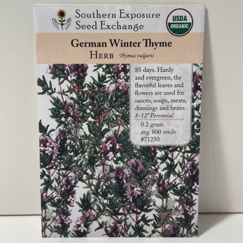 German Winter Thyme Seeds, Organic