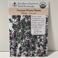 Thumbnail for German Winter Thyme Seeds, Organic