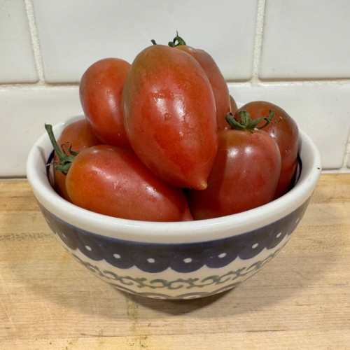 Black Muddy River Tomato, Modern Variety, Origin Omaha, Nebraska
