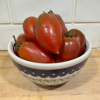 Thumbnail for Black Muddy River Tomato, Modern Variety, Origin Omaha, Nebraska