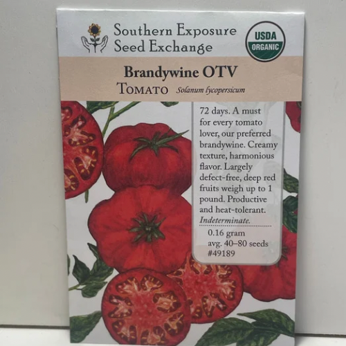 Brandywine OTV Tomato Heirloom Seeds, Organic