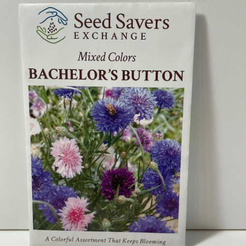 Mixed Bachelor's Buttons Flower Seeds