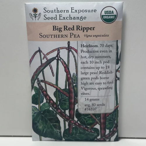Big Red Ripper Southern Peas Seeds, Cowpeas,  1850's Heirloom, Organic