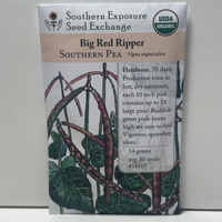 Thumbnail for Big Red Ripper Southern Peas Seeds, Cowpeas,  1850's Heirloom, Organic