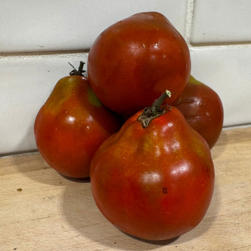 Japanese Trifele or Black Truffle Black Tomato