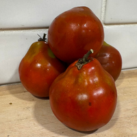 Thumbnail for Japanese Trifele or Black Truffle Black Tomato