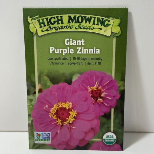 Giant Purple Zinnia Flower Seeds, Organic